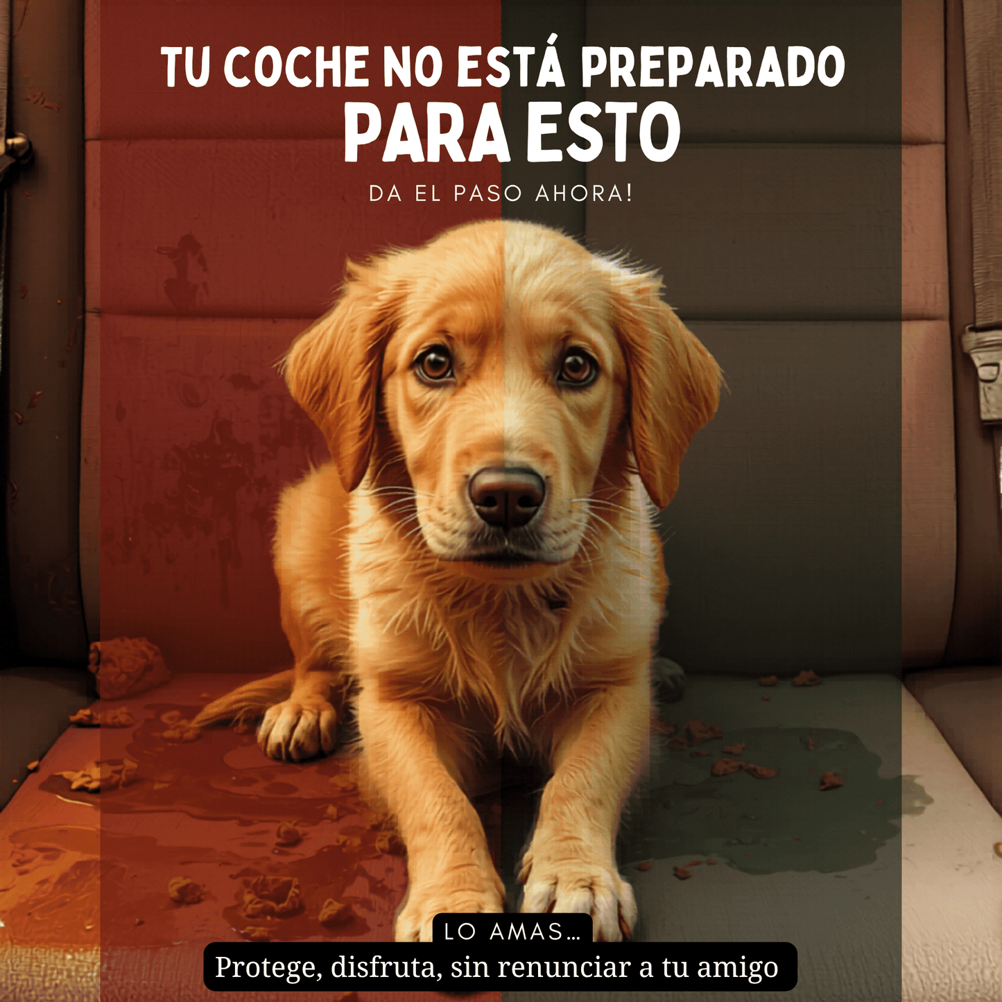 Funda Protectora de Coche para Mascotas — Hammock Premium